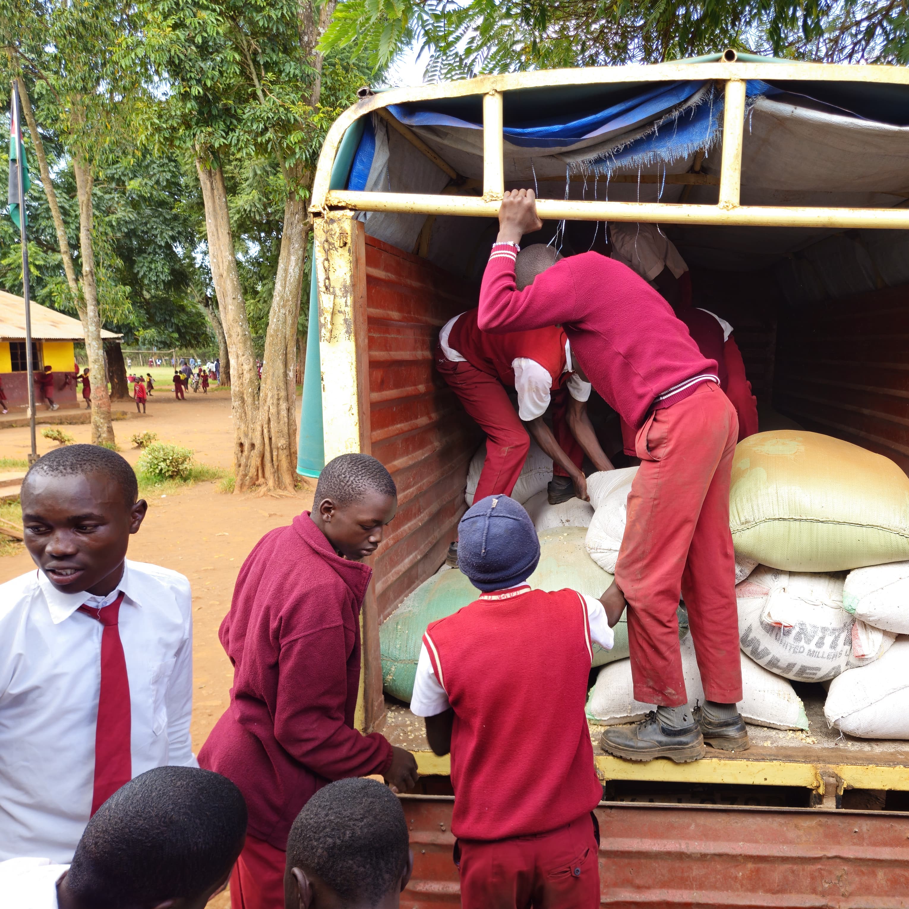 Team members at work